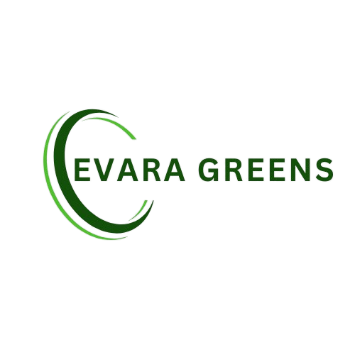 Evara Greens